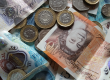 Understanding an umbrella company payslip - FI